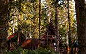Туры в отель Elki House