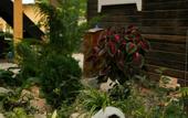 Туры в отель Usadyba Dobrynya Guest House