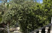 Туры в отель Amalfi Guest House