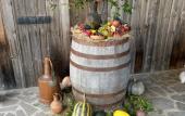 Туры в отель Sazano Wine Cellar Hotel
