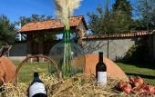 Туры в отель Sazano Wine Cellar Hotel