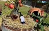 Туры в отель Sazano Wine Cellar Hotel