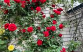 Туры в отель 8-Ye Nebo Guest House