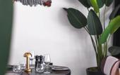 Туры в отель Luff Living Adult Only 12+