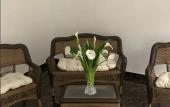 Туры в отель Ada Hotel