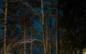 Туры в отель Terrasy Glamping