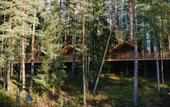 Туры в отель Terrasy Glamping