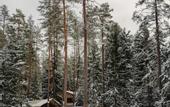 Туры в отель Terrasy Glamping