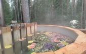 Туры в отель Terrasy Glamping