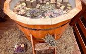 Туры в отель Terrasy Glamping