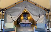 Туры в отель Terrasy Glamping