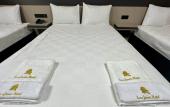Туры в отель Esse Joven Hotel