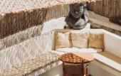 Туры в отель Notarius Hotel Bodrum