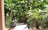 Туры в отель Citrus Tree Guest house