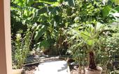 Туры в отель Citrus Tree Guest house