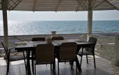 Туры в отель Citrus Tree Guest house