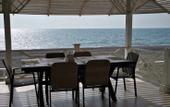 Туры в отель Citrus Tree Guest house