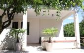Туры в отель Citrus Tree Guest house