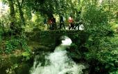 Туры в отель Hotel Waterfall Heaven House Hotel
