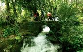 Туры в отель Hotel Waterfall Heaven House Hotel