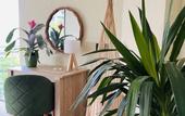 Туры в отель Little Palm Hotel