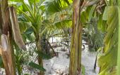 Туры в отель Little Palm Hotel
