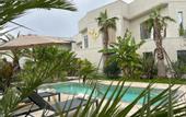 Туры в отель Little Palm Hotel