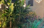 Туры в отель Little Palm Hotel