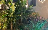 Туры в отель Little Palm Hotel