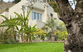 Туры в отель Little Palm Hotel