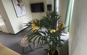Туры в отель Little Palm Hotel