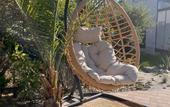 Туры в отель Little Palm Hotel