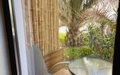 Туры в отель Little Palm Hotel