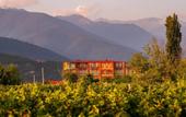 Туры в отель Burki Castle & Cellar Hotel