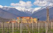 Туры в отель Burki Castle & Cellar Hotel