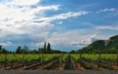 Туры в отель Burki Castle & Cellar Hotel