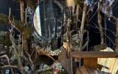 Туры в отель Glemping Mystic Hills