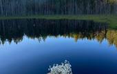 Туры в отель Glemping Mystic Hills
