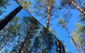 Туры в отель Glemping Mystic Hills