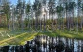 Туры в отель Glemping Mystic Hills