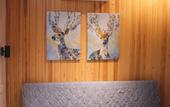 Туры в отель Oshotel Guest house
