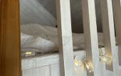 Туры в отель Oshotel Guest house