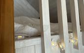 Туры в отель Oshotel Guest house