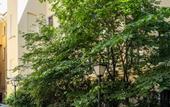 Туры в отель Nevskiy Botik Smart Hotel