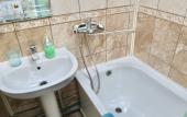 Туры в отель Comfort Plus Apartments in Panagyurishta