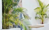 Туры в отель Nephos Boutique Hotel