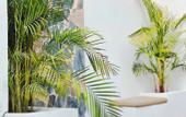Туры в отель Nephos Boutique Hotel