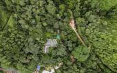 Туры в отель Arsulana Eco Lodge & Ayurveda Spa Resort