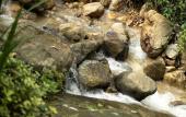 Туры в отель Arsulana Eco Lodge & Ayurveda Spa Resort