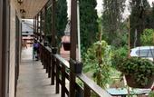 Туры в отель Villa Boutique Hotel Lime